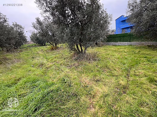 BÖLGE UZMANI HAS EMLAK DENİZ MANZARALI FIRSAT HOBİ BAHÇESİ - BURSA MUDANYA fotoğraf 36
