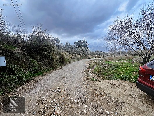 Kemalpaşa Armutlu Hürriyet Mah. Satılık 1.950 m2 Bahçe - İZMİR KEMALPAŞA fotoğraf 32