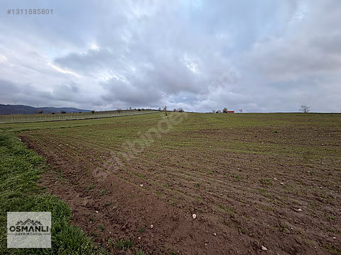ELEKTRİĞİ VE YOLU ÖNÜNDE,ARKASI ORMAN,16 DÖNÜM %5 İMARLI ARAZİ - BİLECİK SÖĞÜT fotoğraf 4