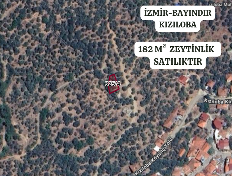 İZMİR BAYINDIR KIZILOVA  KÖYÜNDE 182  M² ZEYTİNLİK  SATILIKTIR - İZMİR BAYINDIR fotoğraf 2