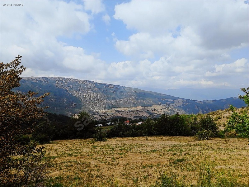 TAŞKESTİ EMLAKTAN BUNGALOVLUK 2 TARLA BİRLİKTE - BOLU MUDURNU fotoğraf 2