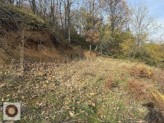 KESTEL LÜTFIYE MH SATILIK 1806M2 TARLA ASVALT YOLA CEPHE - BURSA KESTEL fotoğraf 18