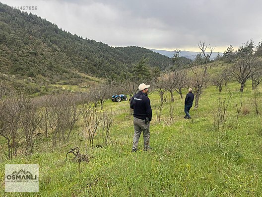 DOĞA İÇERİSİNDE 10 DÖNÜM FIRSAT BAHÇE - BİLECİK İNHİSAR fotoğraf 2