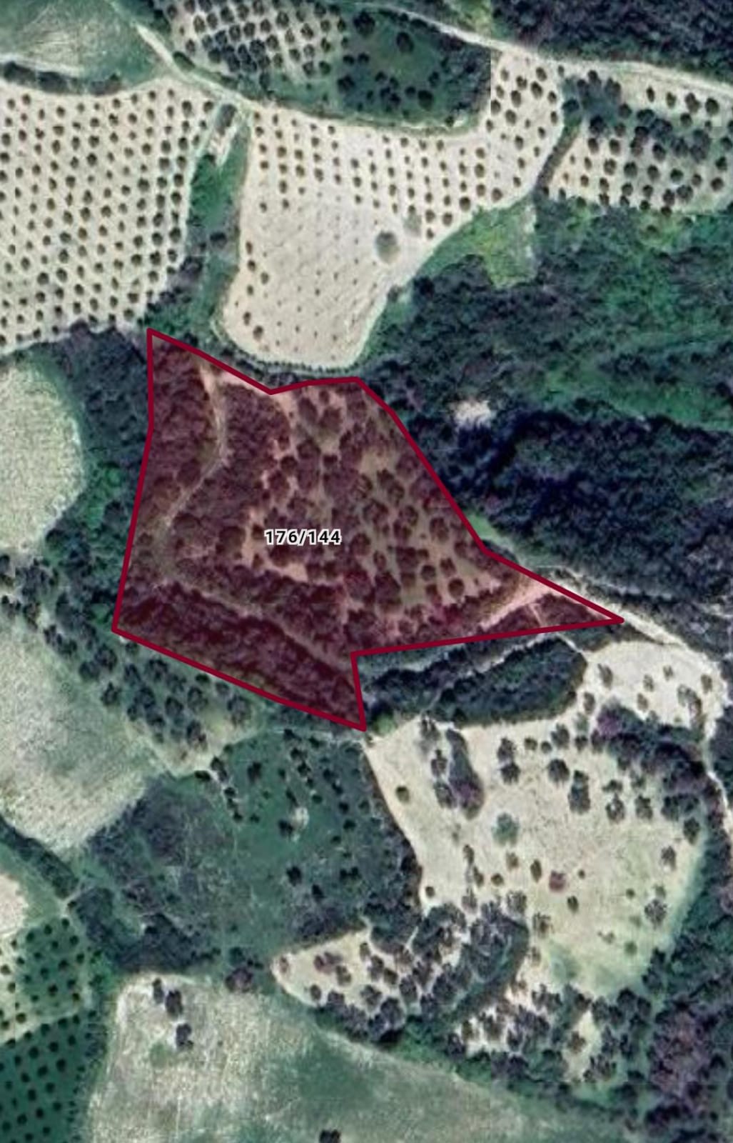 SATILIK ARSA 6.700 M² Zeytinlik Tek TapuHatay / Altınözü / Enek Mh. - HATAY ALTINÖZÜ fotoğraf 2
