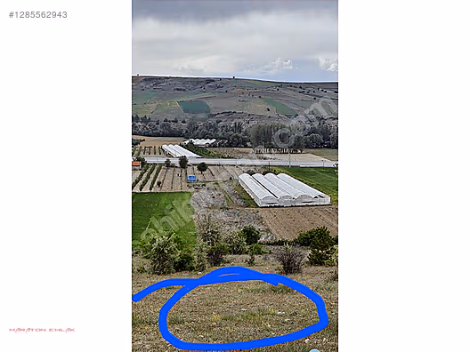 ISPARTA YALVAÇ ÇETİNCEDE 13500 M2 İÇİNDE 100 KADAR YETİŞMİŞ ELMA - ISPARTA YALVAÇ fotoğraf 2