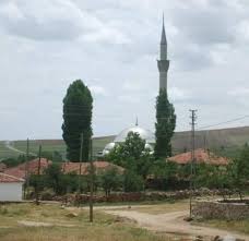 ESKİŞEHİR ORMANA NAZIR MANZARALI 7382 M2 HALI GİBİ TEK TAPU ARSA - ESKİŞEHİR SEYİTGAZİ fotoğraf 8