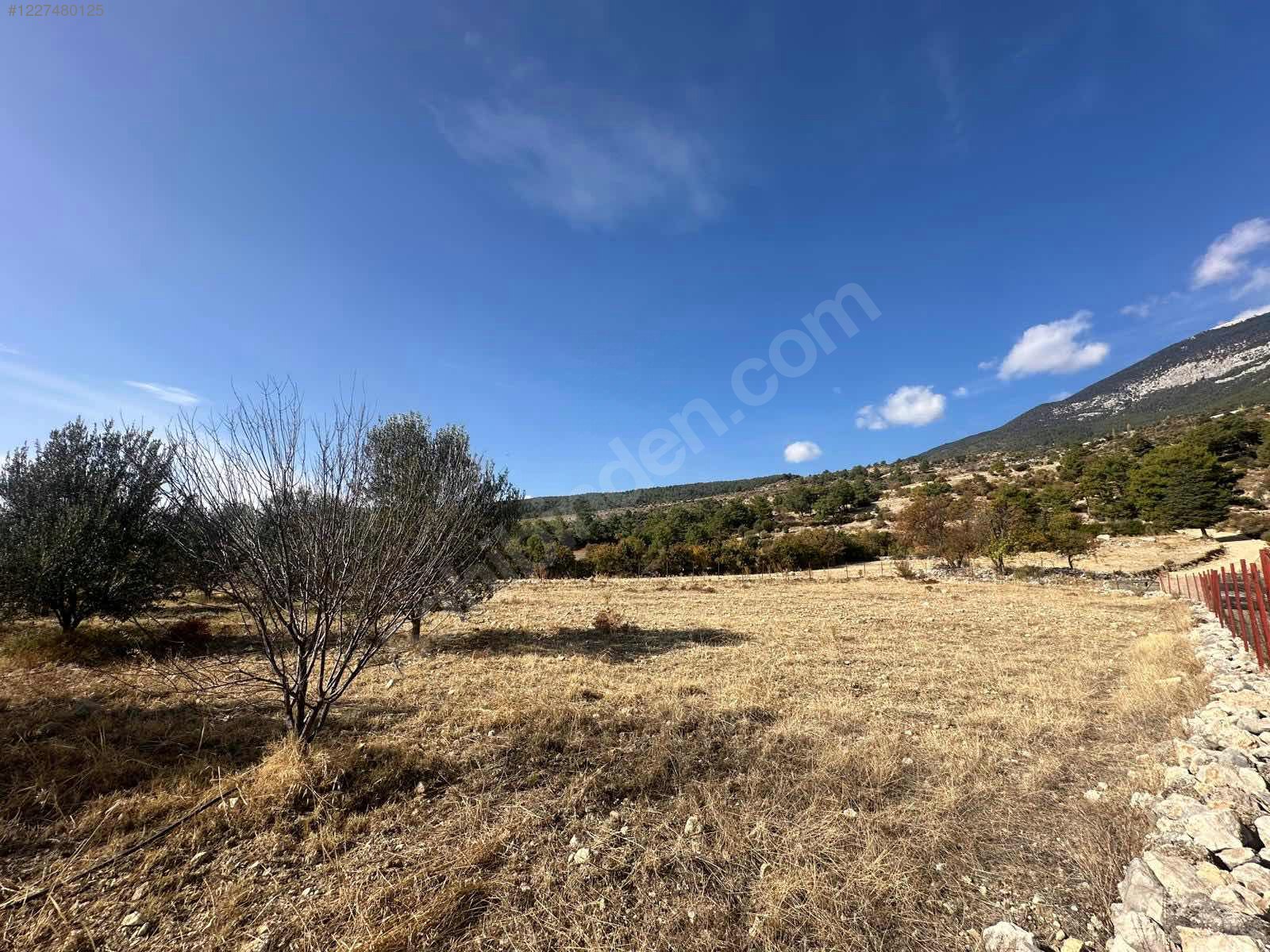 Antalya / Kaş / Gürsu Mahallesinde 1.140 m² SATILIK TARLA - ANTALYA KAŞ fotoğraf 5