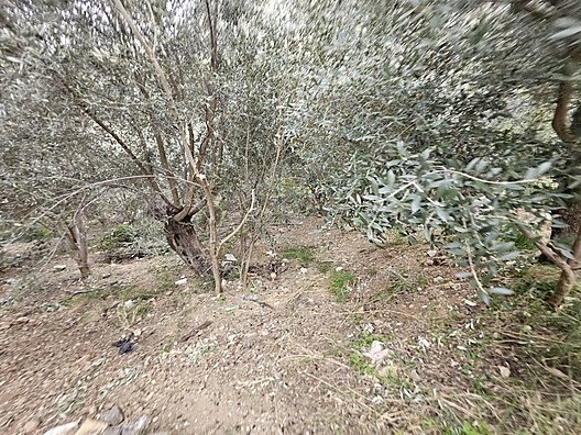 MUHTESEM LOKASYON 258M2 SUPER YATİRİM DUNYA GÖZBEBEĞİ VİLLA ARSA - MUĞLA FETHİYE fotoğraf 34