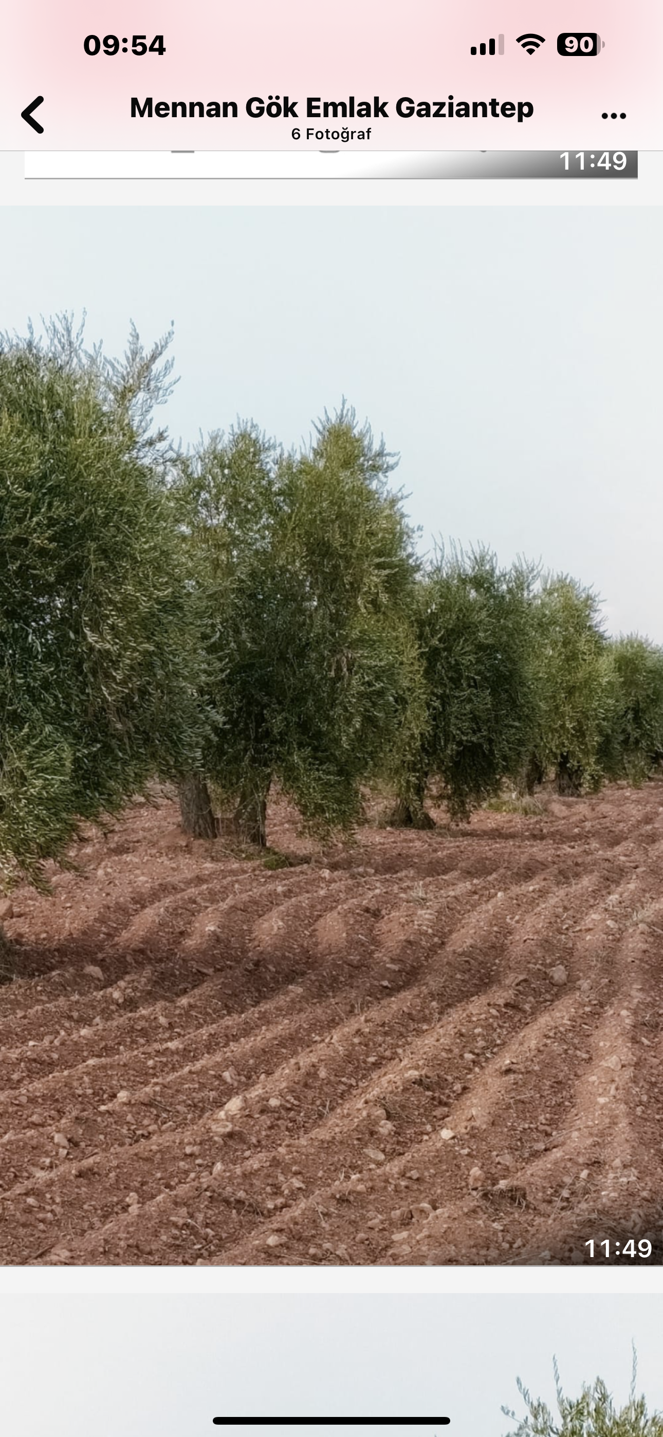 ÖZGÜRoğlu EMLAK,tan SATILIK KİLİS ZEYTİNİ - KİLİS MERKEZ fotoğraf 2