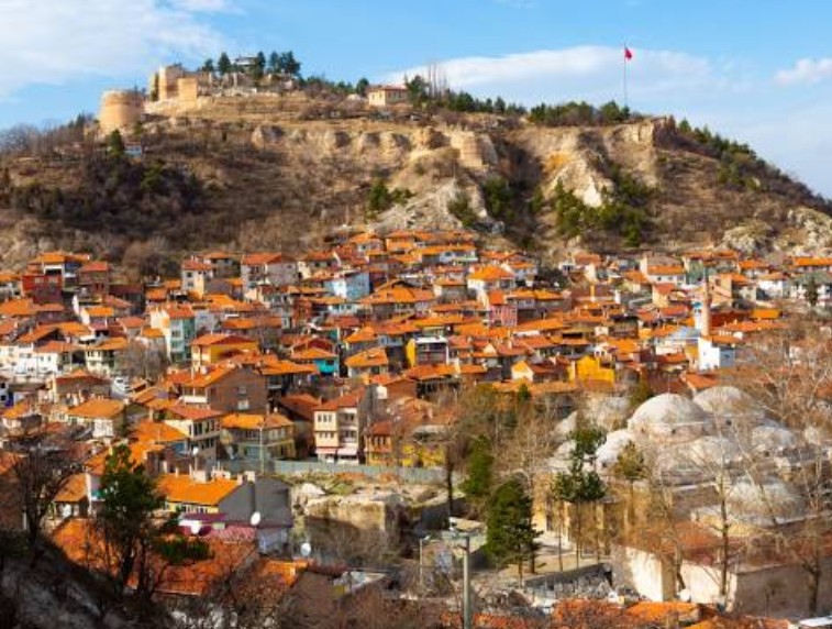 KÜTAHYA ŞAPHANE ÜÇBAŞ'DA 4.500M² KİRAZ/ VİŞNE TARLASI SATILIKTIR - KÜTAHYA ŞAPHANE fotoğraf 9