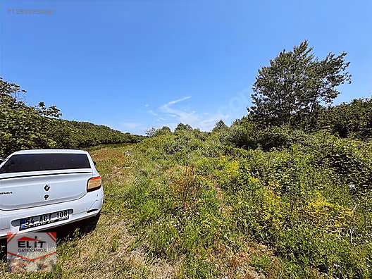 SAKARYA KARASU'DA SATILIK FRSAT KÖY İÇİNDE 635 metre² KUPON ARSA - SAKARYA KARASU fotoğraf 15