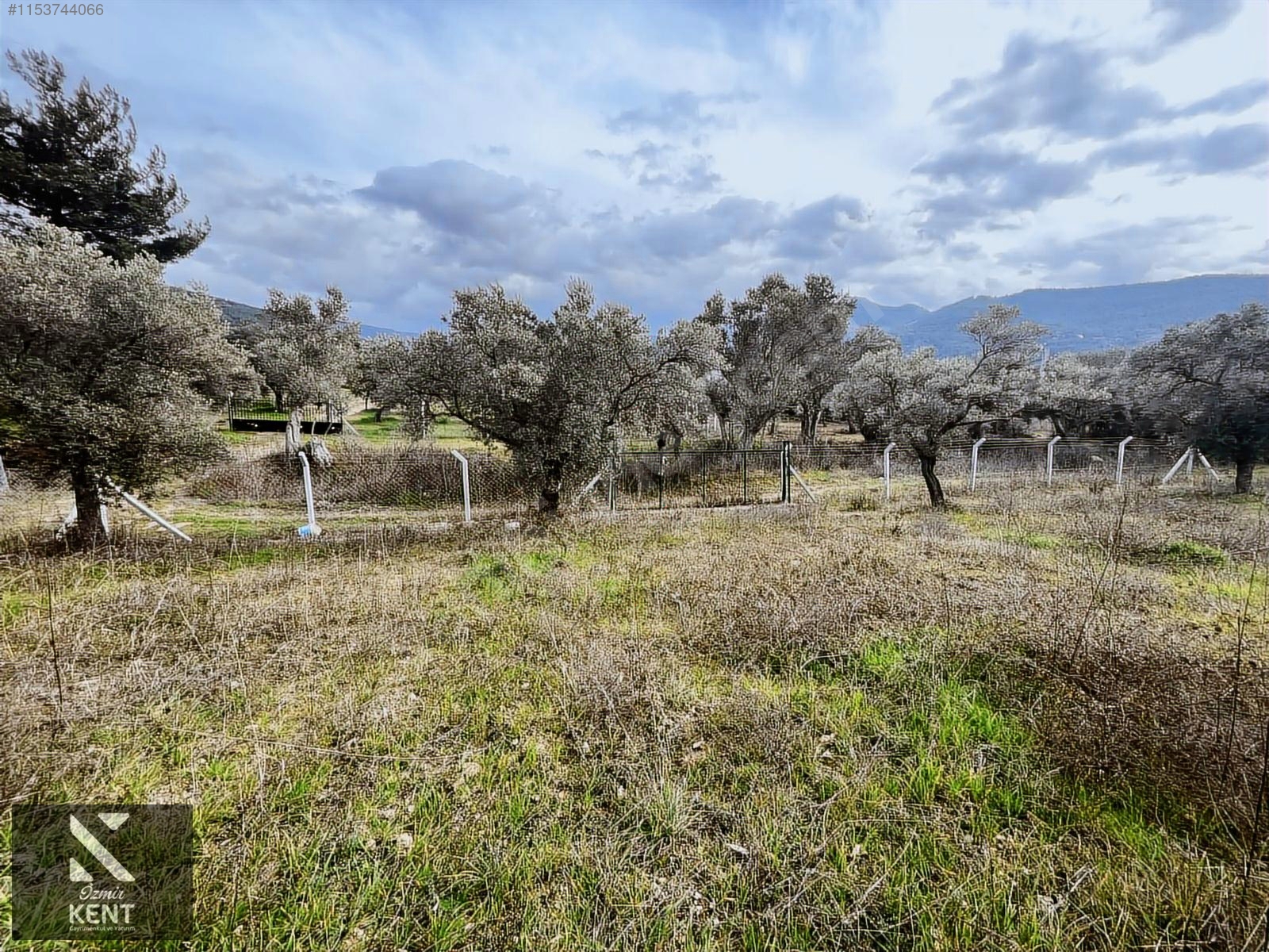 Kemalpaşa Gökyaka Satılık 2700 m2 Bahçe - İZMİR KEMALPAŞA fotoğraf 29