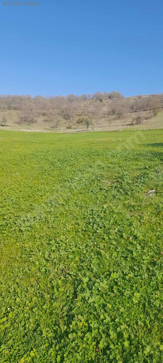 BALIKESİR DURSUNBEY VELİLER  KÖYÜNDE 425 M² BAHÇE SATILIKTIR - BALIKESİR DURSUNBEY fotoğraf 7