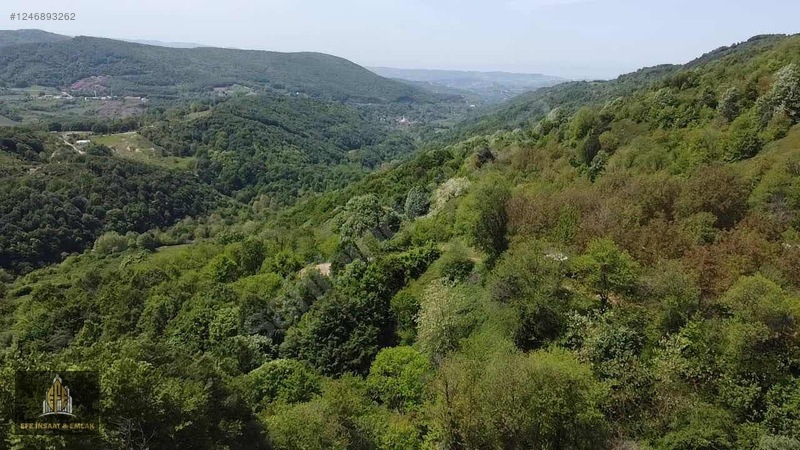 YALOVA SUGÖREN'DE DOĞAYLA İÇ İÇE SATILIK TARLA - YALOVA MERKEZ fotoğraf 5