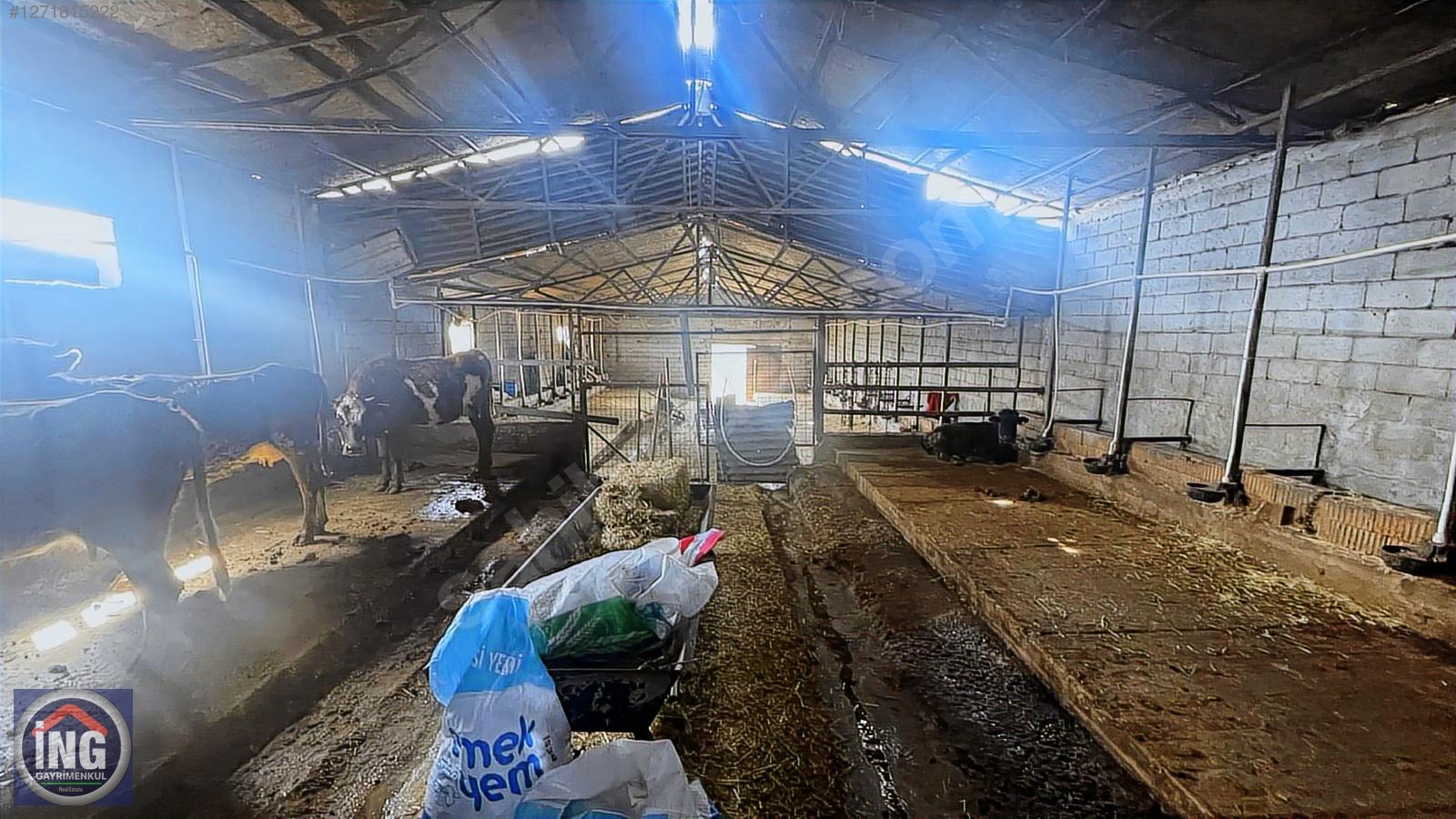 KIRKLARELİ YÜNDALAN'DA HAZIR KURULU RUHSATLI 18 DÖNÜM ÇİFTLİK - KIRKLARELİ MERKEZ fotoğraf 14