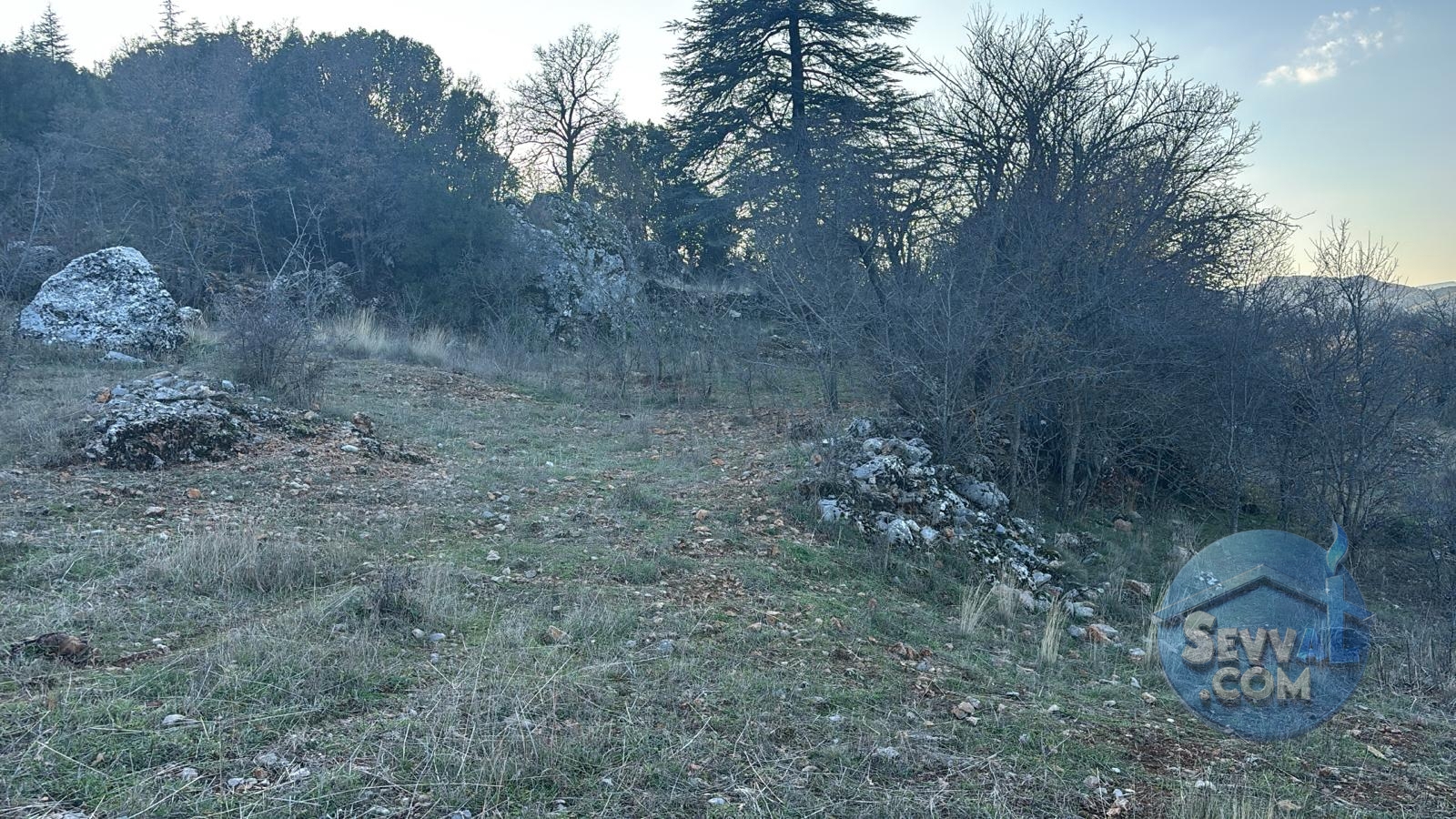 ASYA EVİM EMLAKTAN AĞLASUN/ÇANAKLI KÖYÜNDE SATILIK FIRSAT TARLA - Burdur Ağlasun fotoğraf 5