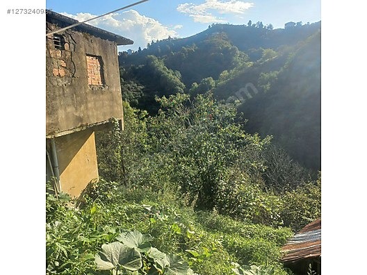 TİREBOLU YALÇ KÖTÜNDE SATILIK İÇİNDE EV OLAN FINDIK BAHÇESİ - GİRESUN TİREBOLU fotoğraf 8