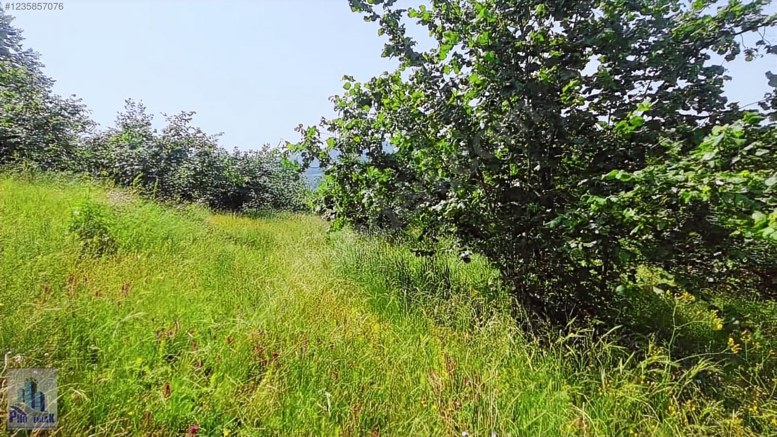 DÜZCE KAYNAŞLI BIÇKIYANI K TOPUK YAYLASINA 3 KM %50 İMARLI ARSA - DÜZCE KAYNAŞLI fotoğraf 8