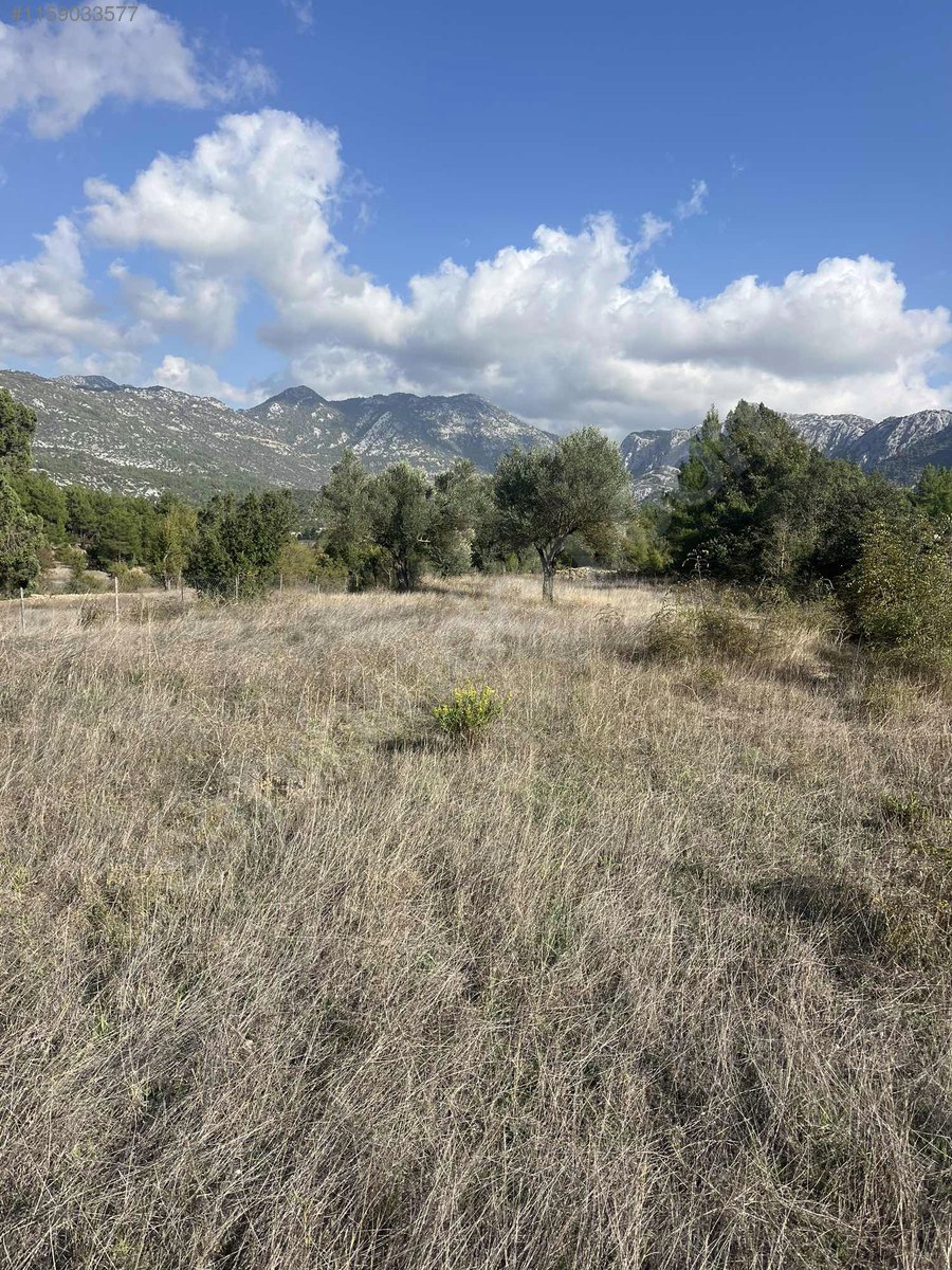 Antalya / Akseki / Erenyaka Mahallesinde  1.551 m² SATILIK ARSA  - ANTALYA AKSEKİ fotoğraf 16
