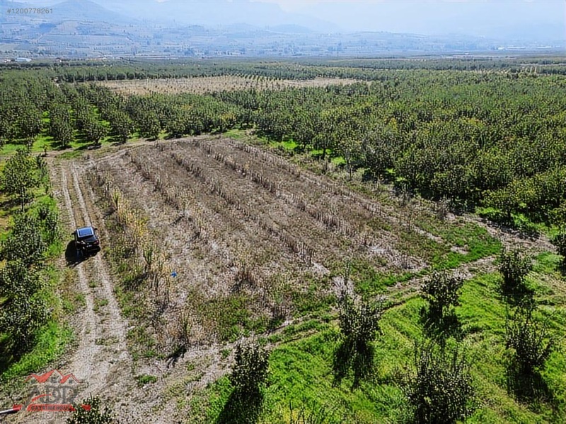 SAKARYA GEYVE UMURBEY MAH. 2444,26 M2 SATILIK TARLA - SAKARYA GEYVE fotoğraf 5