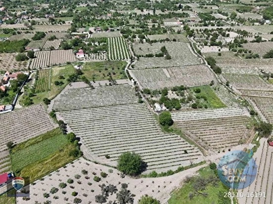 KUŞADASI KİRAZLI da SATILIK ÜZÜM BAĞI ANA YOLA YAKIN - AYDIN KUŞADASI fotoğraf 21