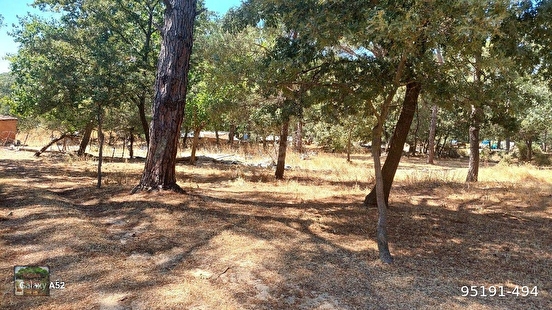 BERGAMA KOZAK YAYLASI YUKARIBEY MAH DE 6800 M2 FISTIKLIK - İZMİR BERGAMA fotoğraf 6