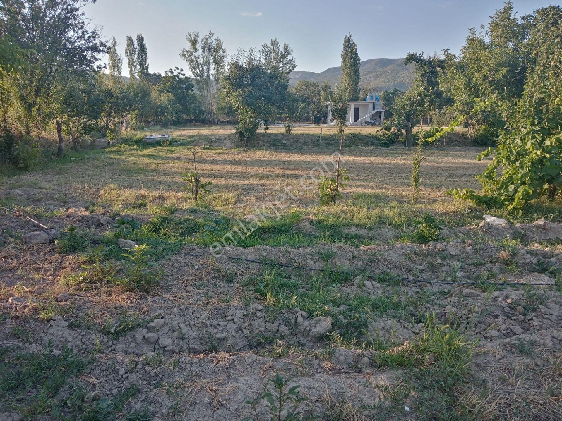 Rüya Emlak'tan Burdur Askeriye Köyünde Satılık Tarla - BURDUR MERKEZ fotoğraf 8