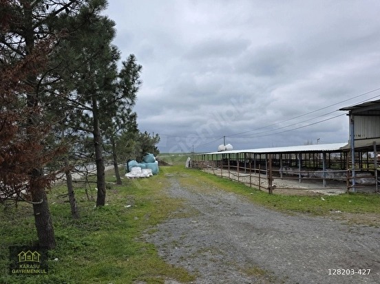ARNAVUTKÖY DURSUNKÖY ENDÜLÜS CADDE CEPHELİ PARSELDE 230 M2 - İSTANBUL ARNAVUTKÖY fotoğraf 8