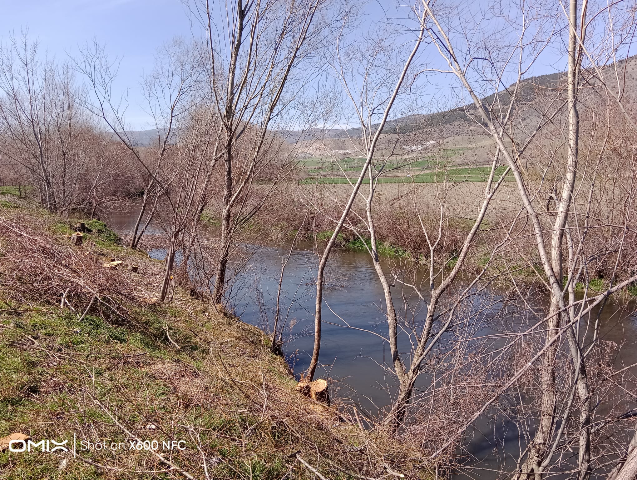 Tokat/ Turhal satlik tarla  - TOKAT TURHAL fotoğraf 10