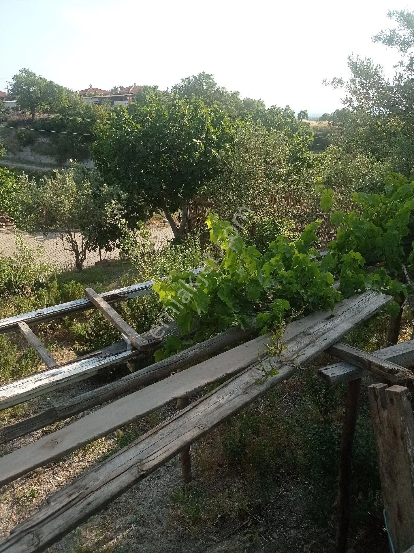 Yeliz'den Manisa Soma'da Satılık Müstakil Ev - MANİSA SOMA fotoğraf 6
