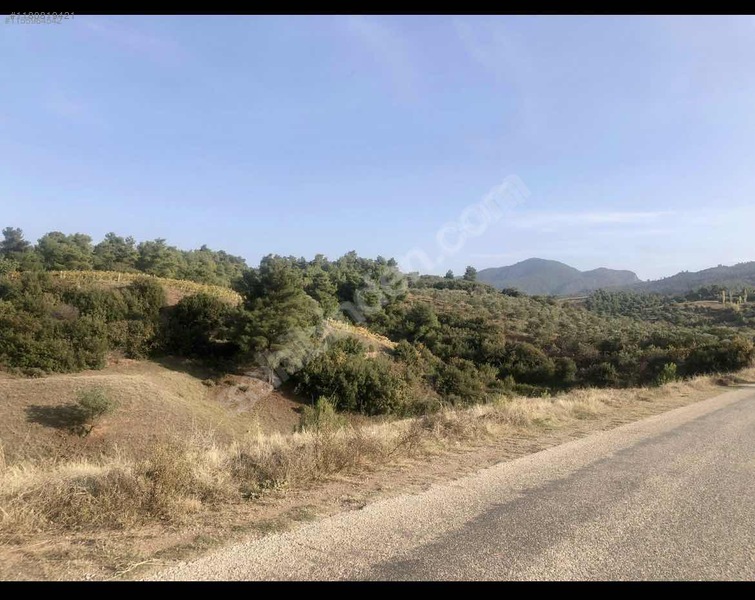 FIRSAT ASFALT CEPHELİ İZMİR ANKARA YOLUNA 3km köye 2km - MANİSA AHMETLİ fotoğraf 4