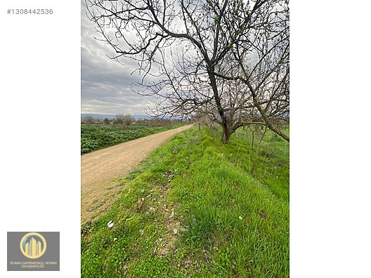 KUCUK YENICEDE RESMI YOLA CEPHE HOBI BAHCESI - BURSA İNEGÖL fotoğraf 20