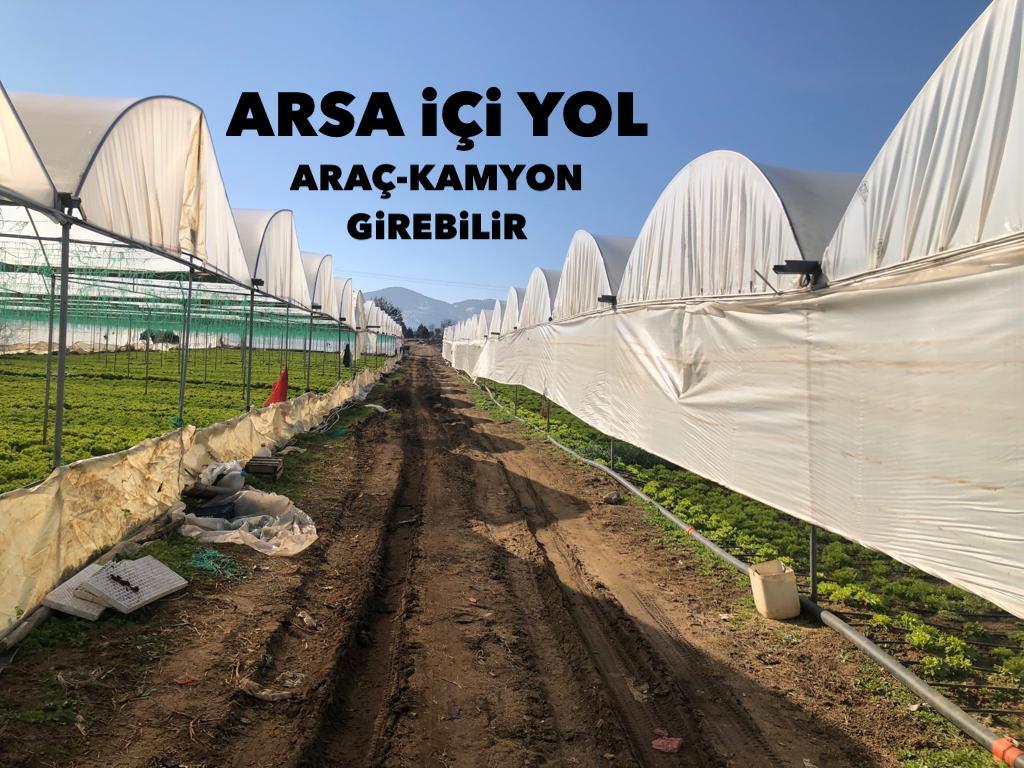 Anayolu Üzerinde 13.600 m2 + 7.000 m2 Sera + Elektrik + Su Bağlı - BİLECİK SÖĞÜT fotoğraf 5