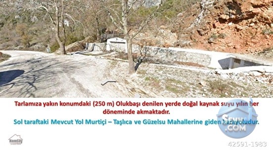 Murtiçine Yakın Konumda Acil Satılık Tarla - ANTALYA AKSEKİ fotoğraf 29