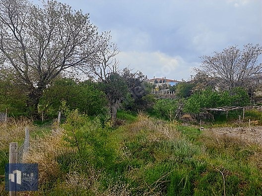 SARAYKÖY'DE SATILIK MÜSTAKİL 248 M2 BAHÇE - KONYA SELÇUKLU fotoğraf 28