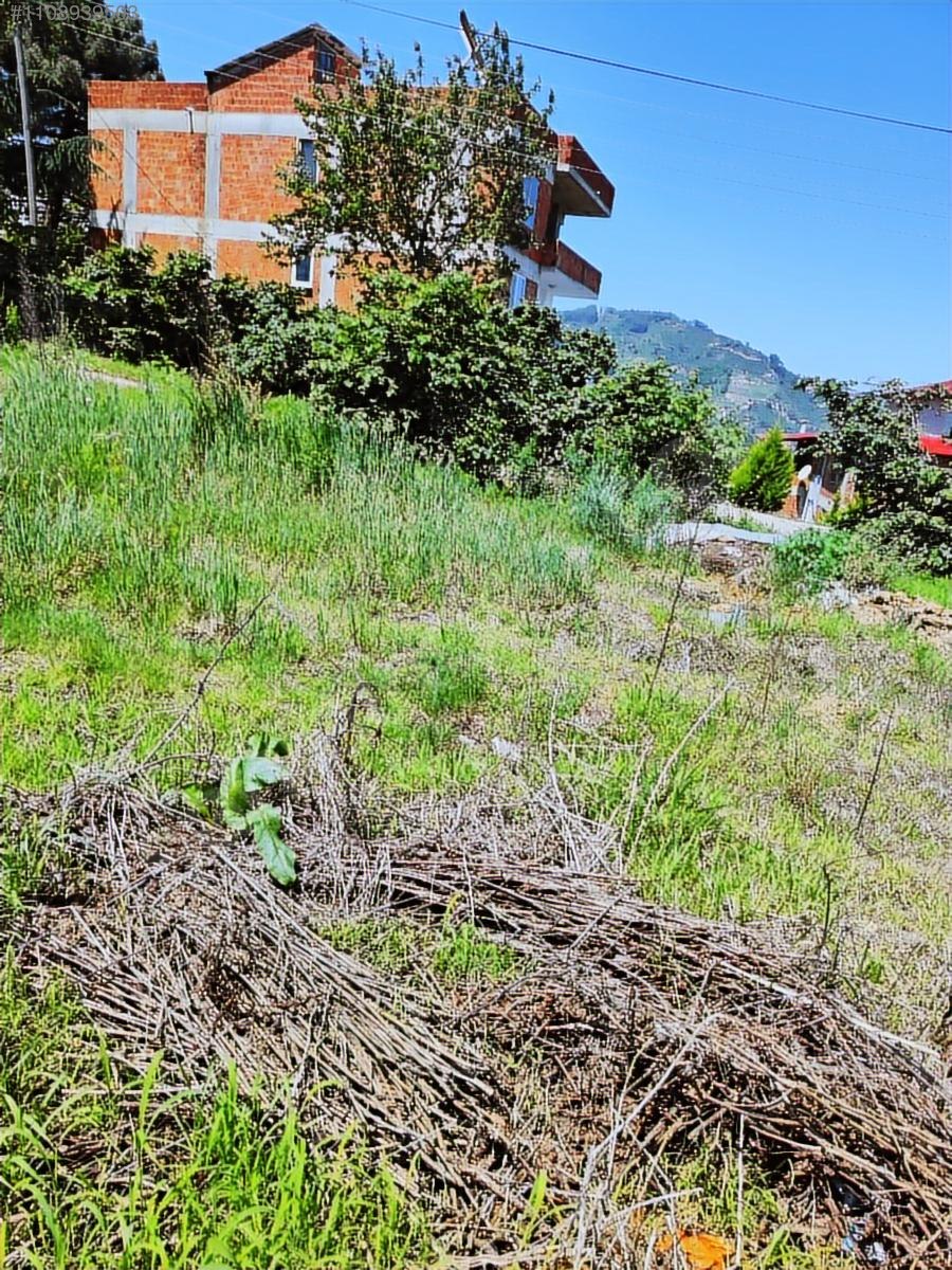BULANCAK PAZARSUYUN,DA SATILIK EVLİK ARAZİ TAKASA AÇIK - GİRESUN BULANCAK fotoğraf 5