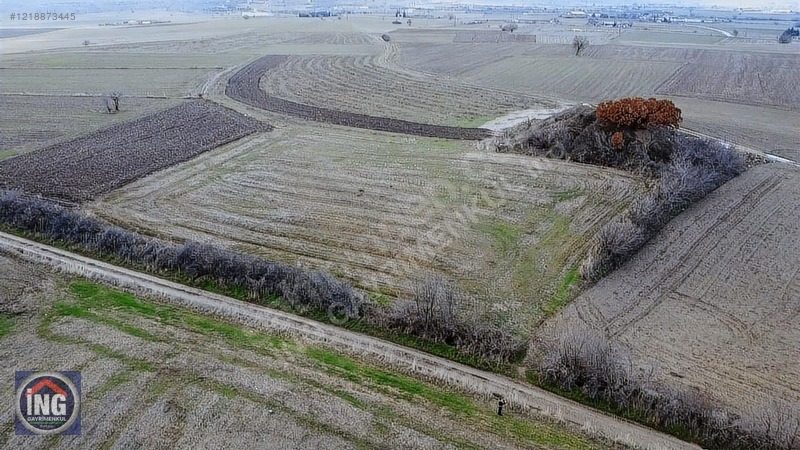 KIRKLARELİ MERKEZ PINAR MAHALLESİNDE 2.277 M2 ARAZİ - KIRKLARELİ MERKEZ fotoğraf 8
