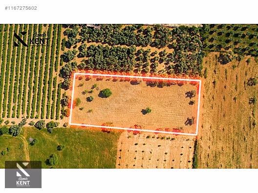 Kemalpaşa Armutlu Satılık 2300 m2 Bahçe Müstakil Parsel Tek Tapu - İZMİR KEMALPAŞA fotoğraf 7