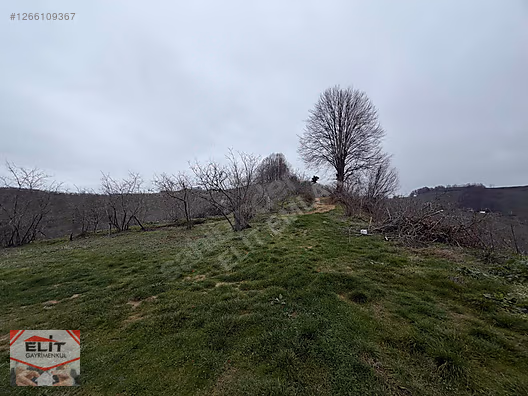 DÜZCE AKÇAKOCA DA EV YAPIMINA UYGUN SATILIK 7.768 M2 FINDIKLIK - DÜZCE AKÇAKOCA fotoğraf 48