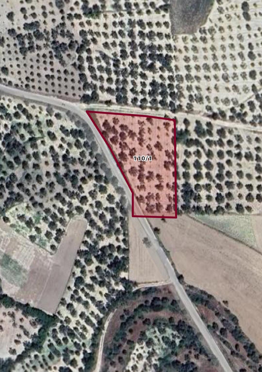 SATILIK ARAZİ 3.064 M² Hatay / Altınözü / Kozkalesi Mh. - HATAY ALTINÖZÜ fotoğraf 3