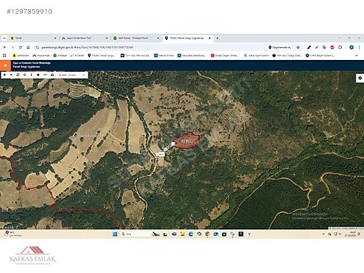 SUSURLUK PAŞAKÖY MAHALLESİ 5.511 M2 SATILIK TARLA - BALIKESİR SUSURLUK fotoğraf 3