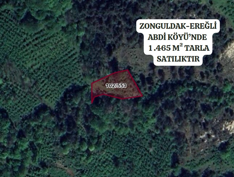 ZONGULDAK EREĞLİ ABDİ KÖYÜ’NDE 1.468 M²  TARLA SATILIKTIR - ZONGULDAK EREĞLİ fotoğraf 2