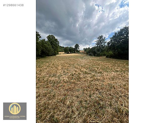 ÇİTLİDE SATILIK 2400M² TARLA - BURSA İNEGÖL fotoğraf 6