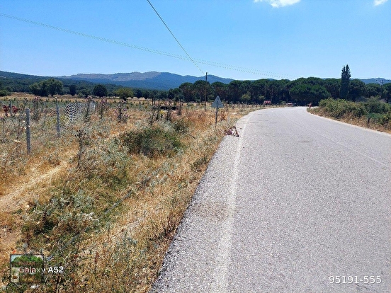 KOZAK YAYLASINDA KARAVELİLER MUHİTLERİ İÇİNDE ANA YOL KENARI 6400 M2 TARLA - İZMİR BERGAMA fotoğraf 6