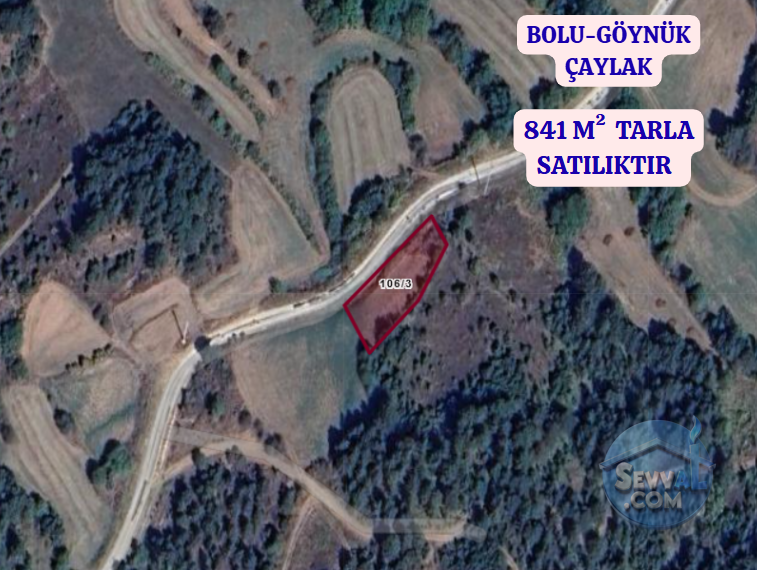 BOLU GÖYNÜK ÇAYLAK  KÖYÜNDE  841 M²  TARLA  SATILIKTIR - BOLU GÖYNÜK fotoğraf 2
