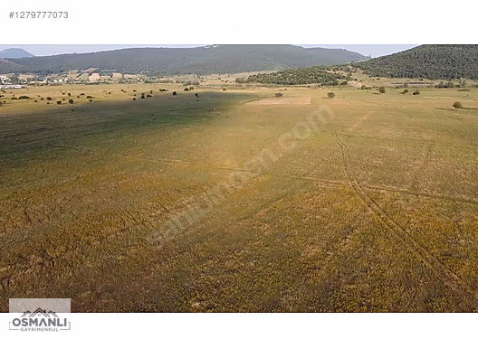HİSARCIK'TA 4.675 M2 KÖŞE PARSEL YATIRIM FIRSATI - BİLECİK OSMANELİ fotoğraf 13