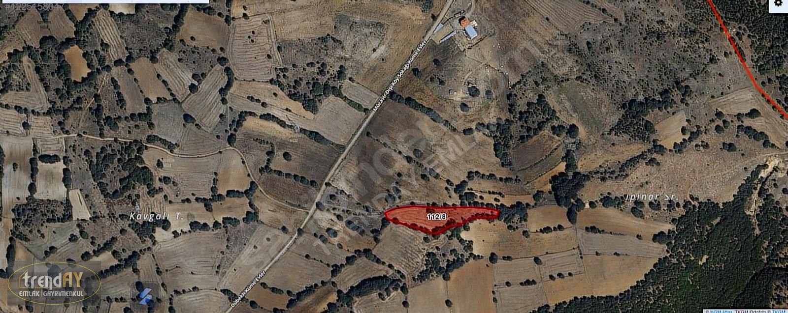 Dübekli Köyü'nde 10.570 m² Kadastral Yola Cepheli Tarlalar - BİLECİK BOZÜYÜK fotoğraf 3