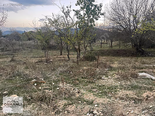 HAMİTABAT KÖYÜ VE SAKARYA NEHRİNE 200 MT MESAFEDE SERA ARAZİSİ - BİLECİK SÖĞÜT fotoğraf 6