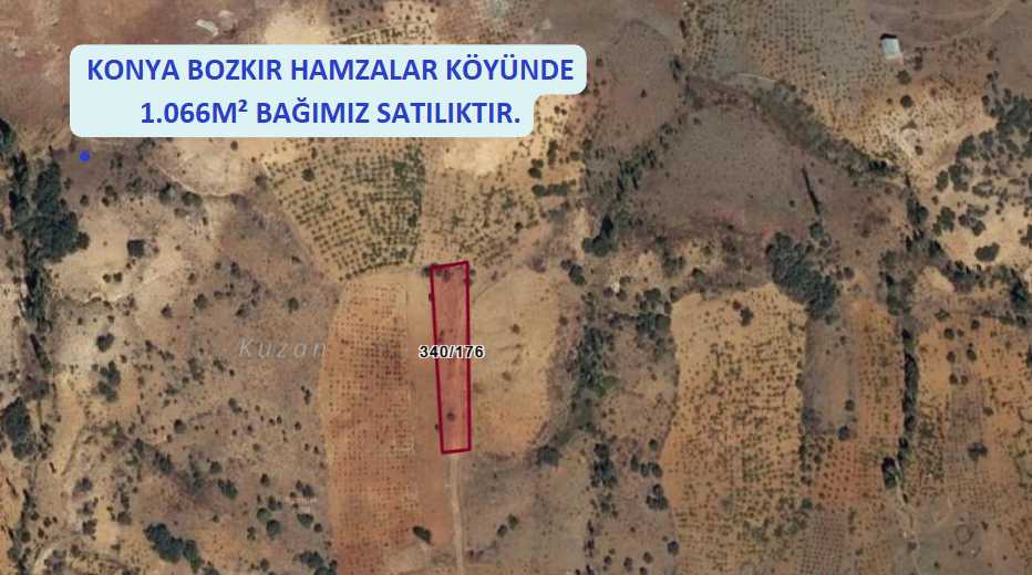 KONYA BOZKIR HAMZALAR KÖYÜNDE 1.066M² BAĞIMIZ SATILIKTIR. - KONYA BOZKIR fotoğraf 2
