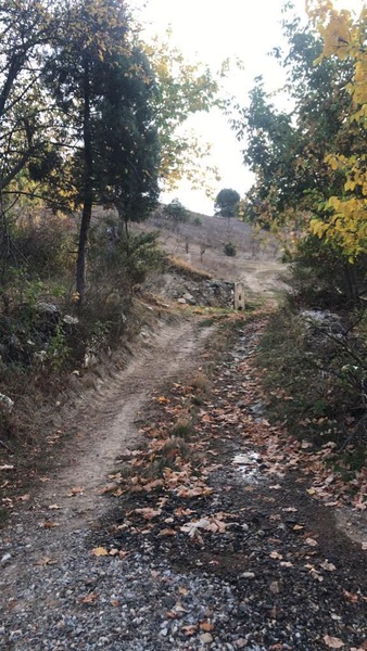ASFALT YOLA CEPHELİ YATIRIMLIK 11 DÖNÜM - BURSA BÜYÜKORHAN fotoğraf 2